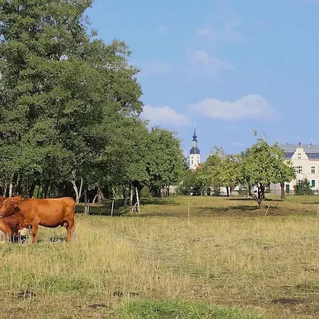 Im Limonadenhaus - Adults Only