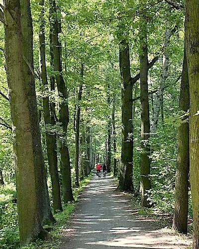 Semesterbostad Im Limonadenhaus - Adults Only *