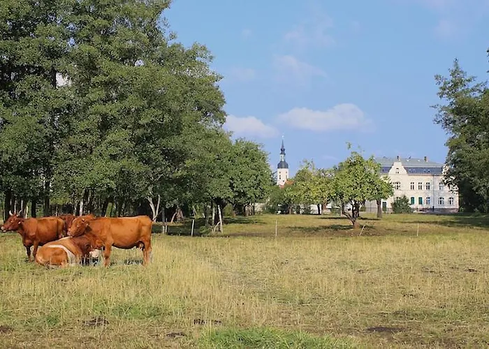 Im Limonadenhaus - Adults Only